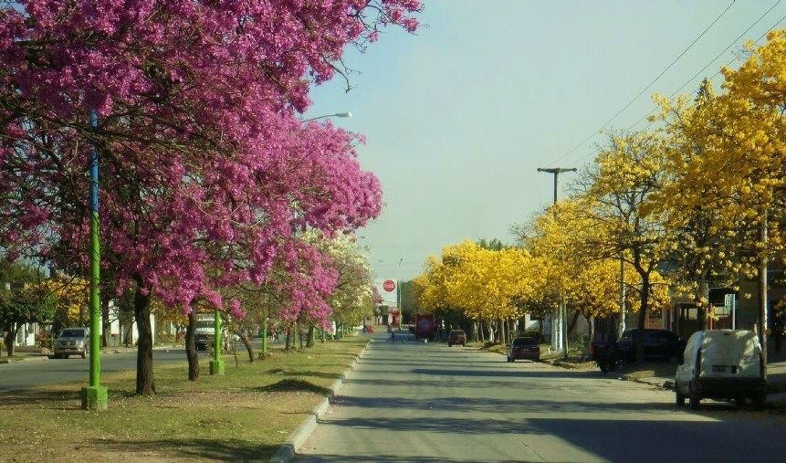 Publicidad principal