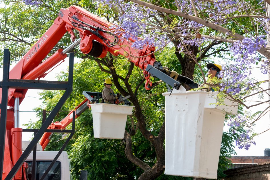 Publicidad principal